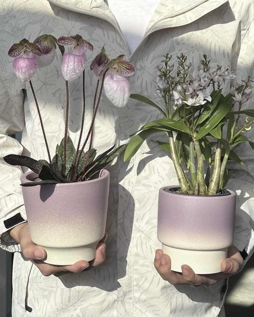 Handmade Gradient Ceramic Flower Pots