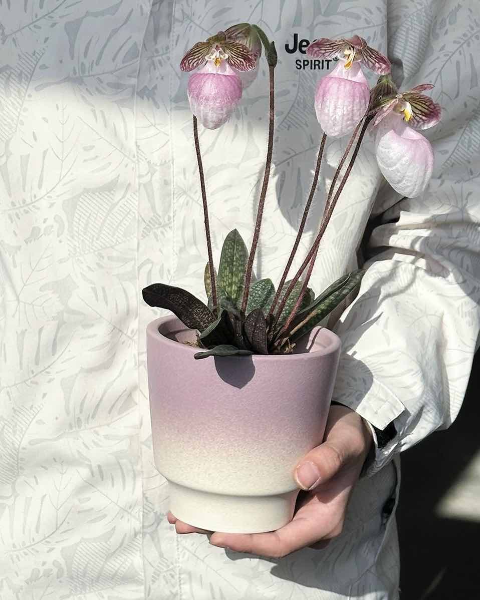 Handmade Gradient Ceramic Flower Pots