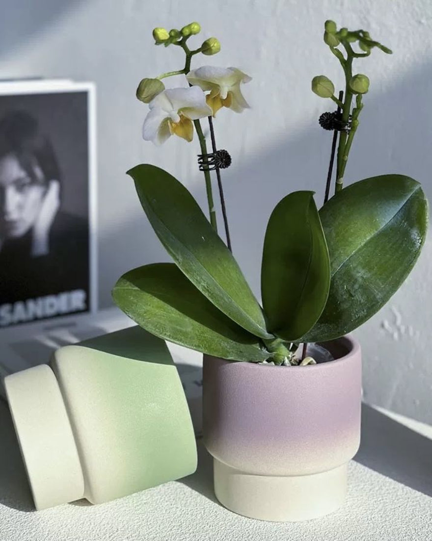 Handmade Gradient Ceramic Flower Pots