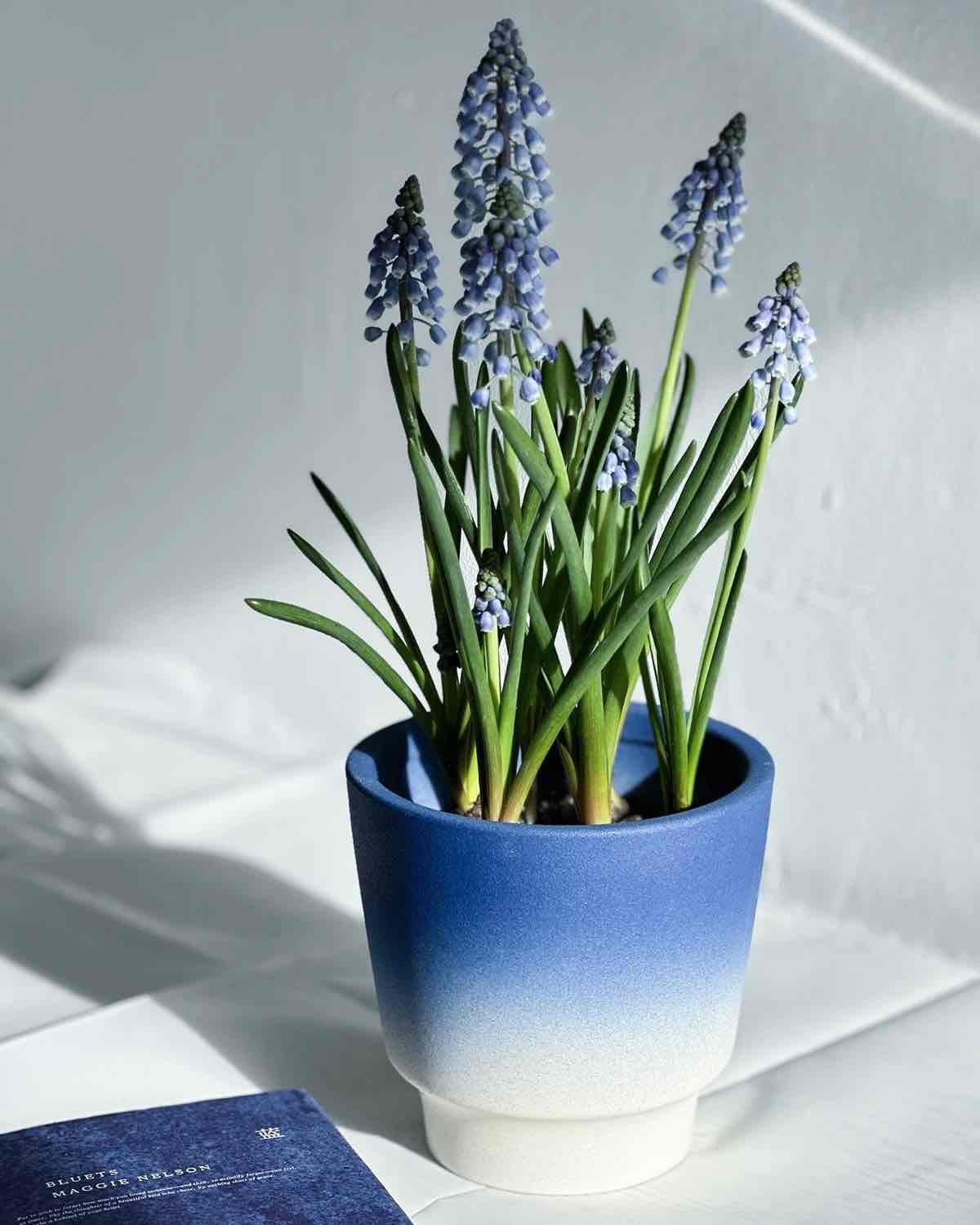 Handmade Gradient Ceramic Flower Pots