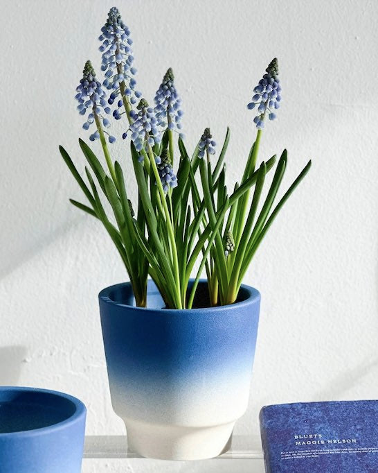 Handmade Gradient Ceramic Flower Pots