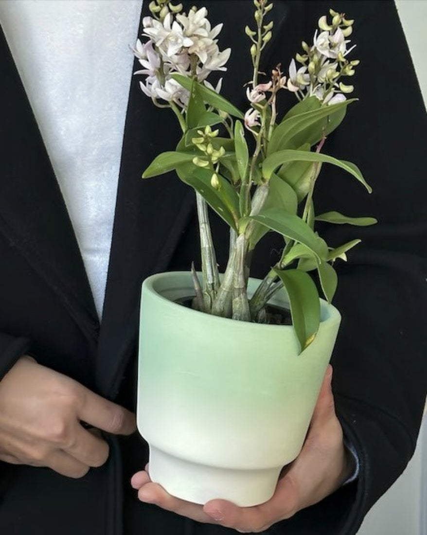 Handmade Gradient Ceramic Flower Pots