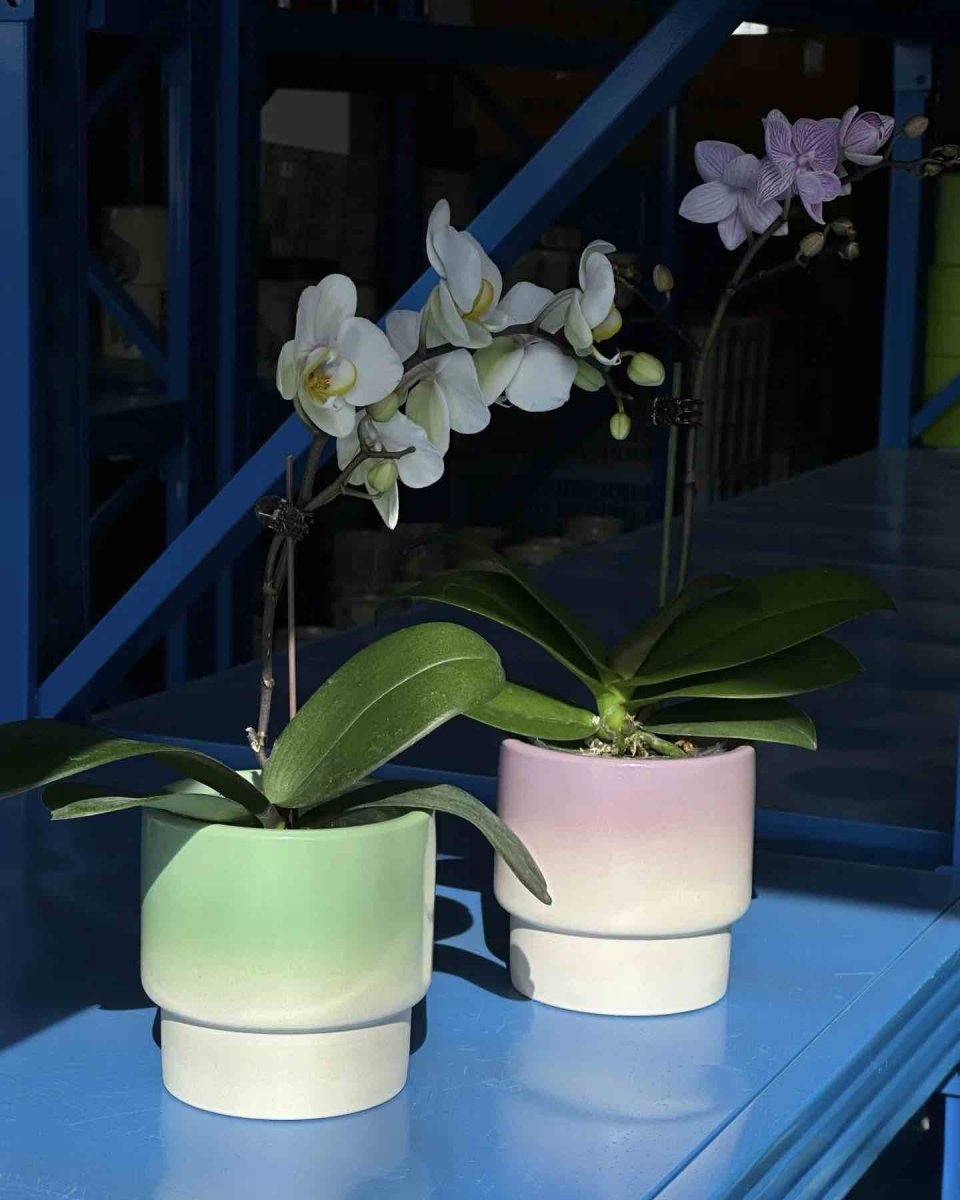 Handmade Gradient Ceramic Flower Pots