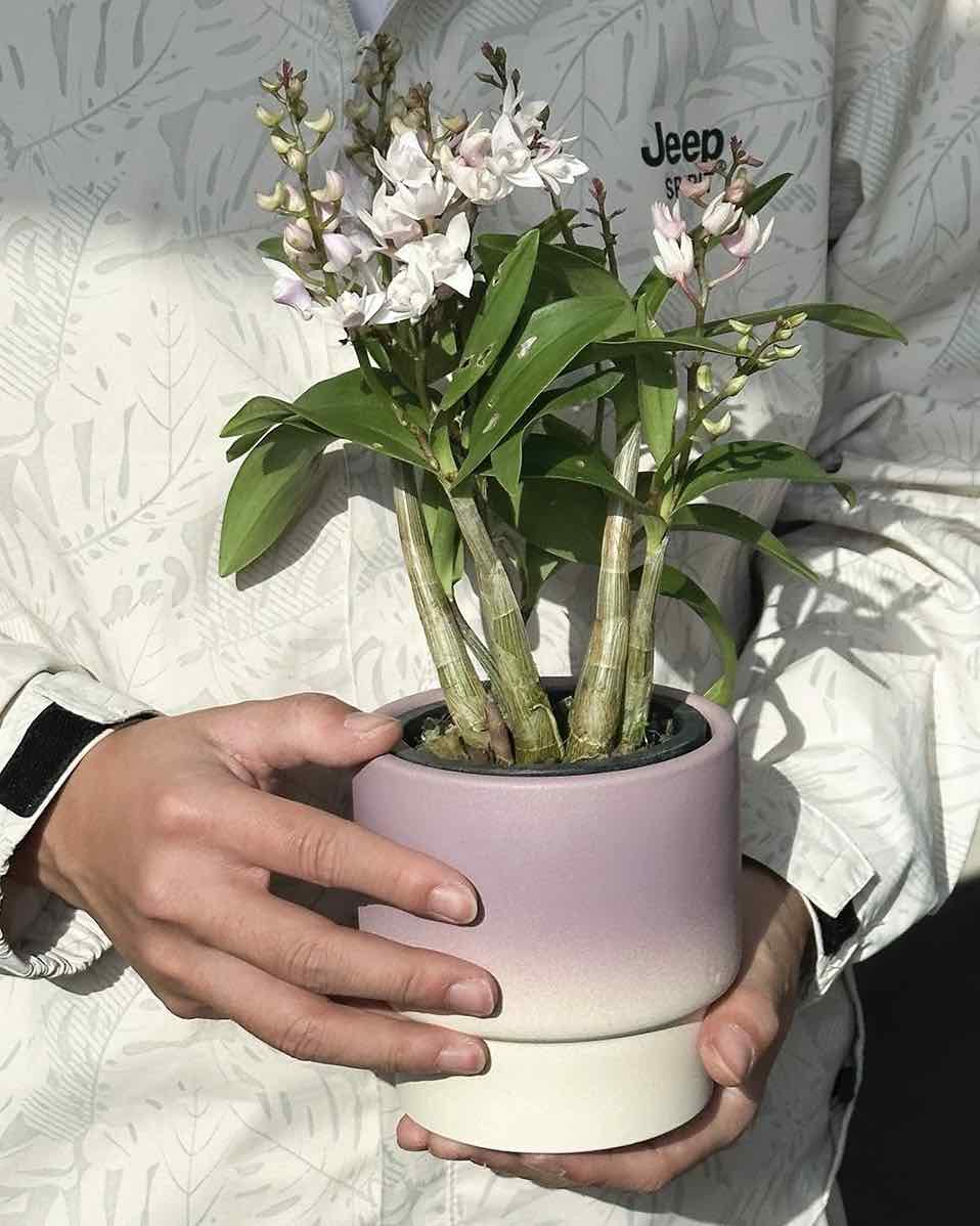 Handmade Gradient Ceramic Flower Pots