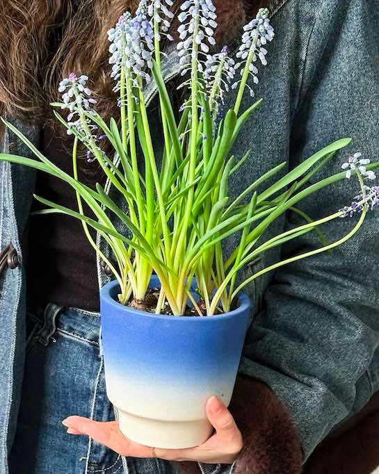 Handmade Gradient Ceramic Flower Pots